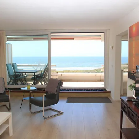 Zeehond Egmond aan Zee