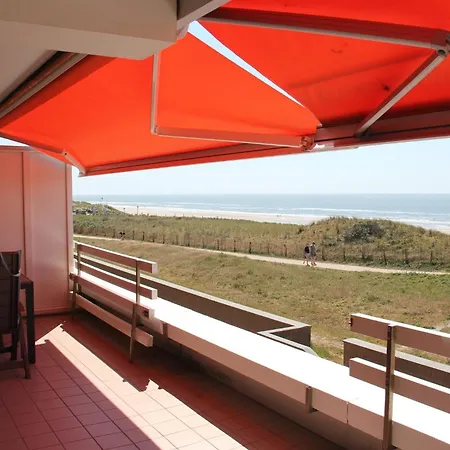 Zeehond * Egmond aan Zee