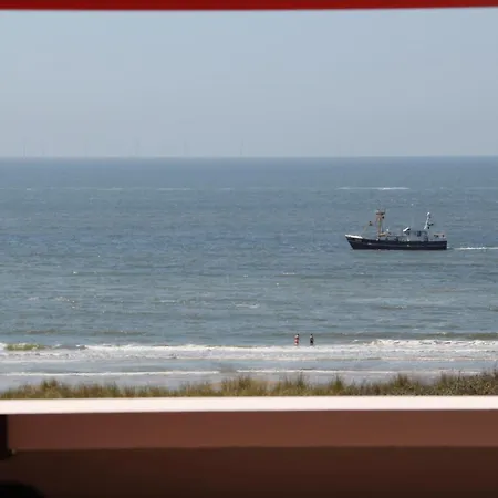 Zeehond