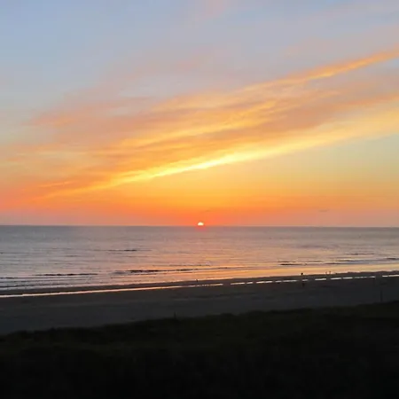 Zeehond * Egmond aan Zee