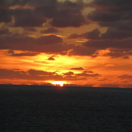 Zeehond * 海边的艾格蒙特