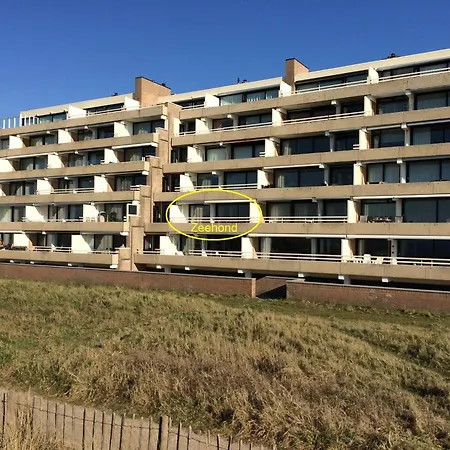 Zeehond Apartment Egmond aan Zee