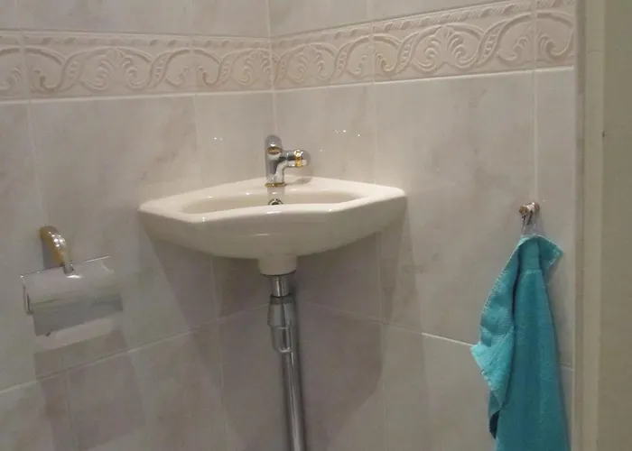 Zeehond * 海边的艾格蒙特