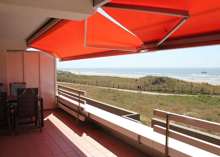 Zeehond * 海边的艾格蒙特