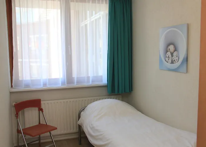 Zeehond Egmond aan Zee