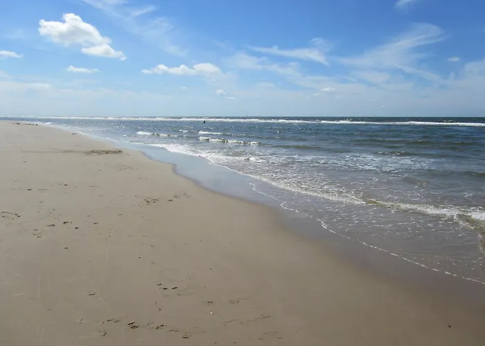 Apartament Zeehond *