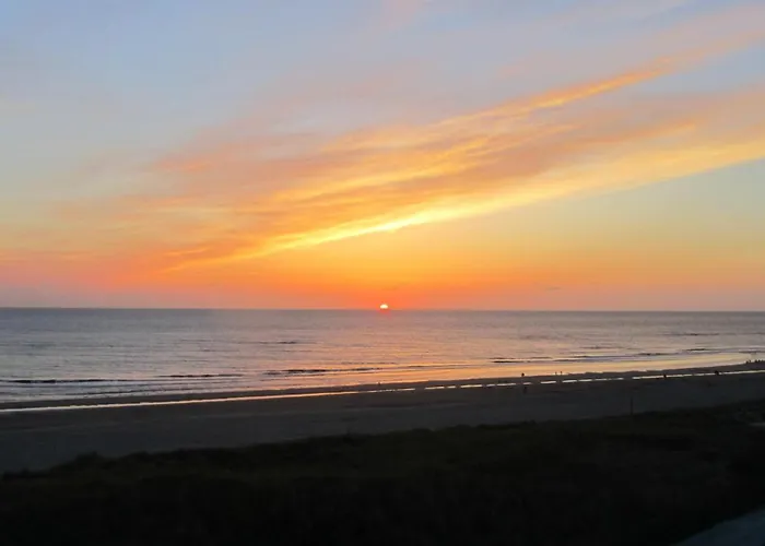 Zeehond * Egmond aan Zee