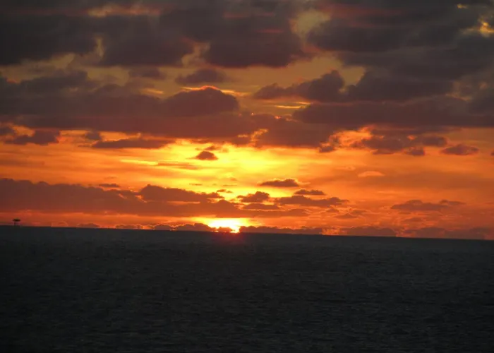 Zeehond * 海边的艾格蒙特