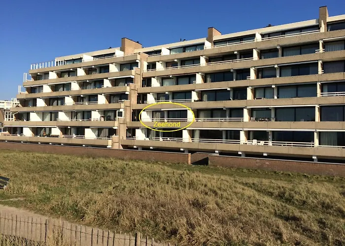 Zeehond Apartament Egmond aan Zee